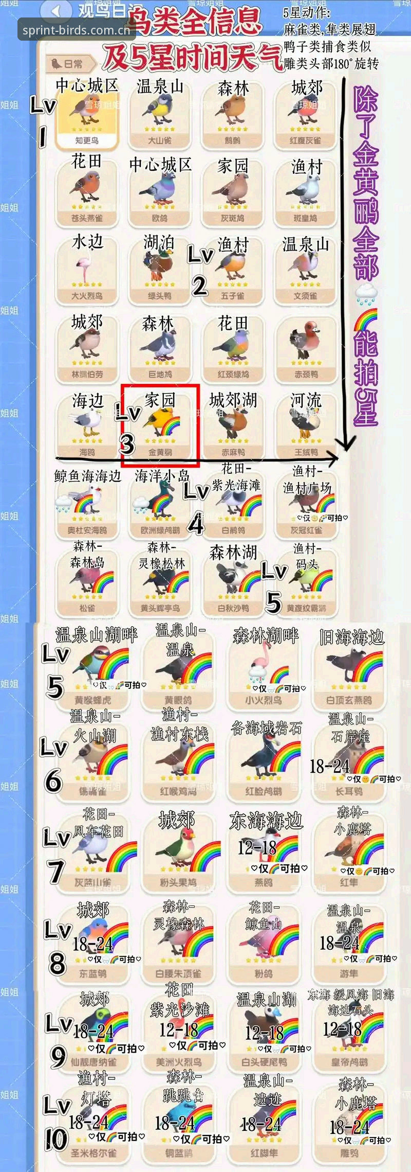 极速掌握欧联杯决赛精华：小鸟体育平台观赛体验与赛事分析完整指南